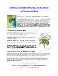 Yesterday’s Traditional Herbs May Hold the Answers  ...to Tomorrow&rsquo;s World