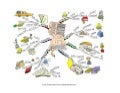 You are writing the book of your life Mind Map