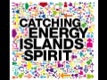 Søren Hermansen, Environmental innovator - The Samsø experiment – When an island turned green