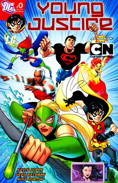 Young justice #0