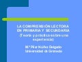 Z ComprensióN Lectorapilar