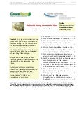 Zahnfüllungsmaterialien Amalgame & Alternativen 
