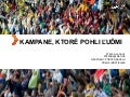 Zdravie uspesne kampane_hn2013