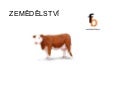 Zemědělství  prezentace