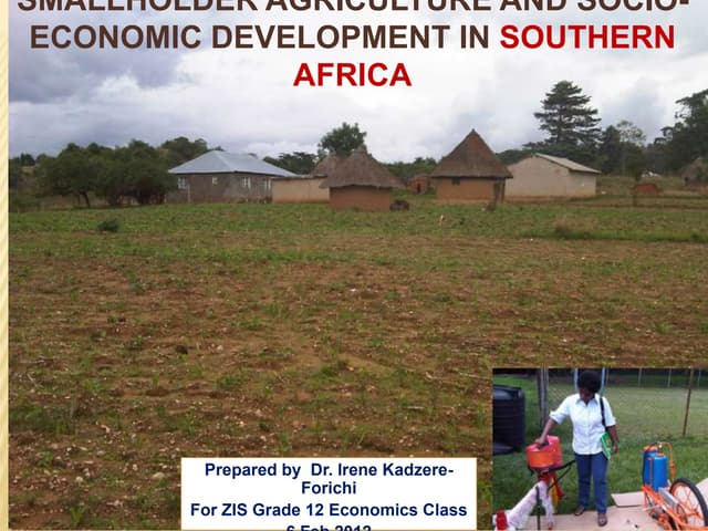 Agricultural Productivity and Econo...