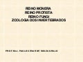 Zoologia dos invertebrados