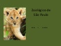 Zoologico