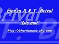 Zouk Eleeza ft Terry Brival
