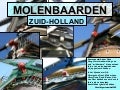ZUID HOLLANDSE MOLENBAARDEN