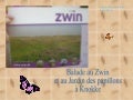 Zwin