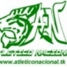 ATLETICO NACIONAL, profile picture