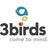 3 Birds Marketing LLC, profile picture