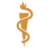 American Academy of Family Physicians, profile picture