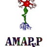 AMAPyP Asoc. Malague. de Afect. Polio y Postpol, profile picture