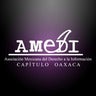 AMEDI_Oaxaca, profile picture