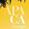 Orange County Section of the American Planning Association, profile picture