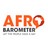 Afrobarometer, profile picture