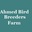 Ahmed Bird Breeders Farm