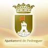 Ajuntament de Pedreguer, profile picture