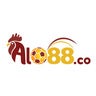 Alo88Co, profile picture