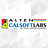 ALTEN Calsoft Labs, profile picture
