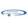 AmeerpetTrainingOnline, profile picture