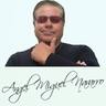 Angel M Navarro Negocios Online, profile picture