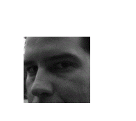 Carlos Ochoa, profile picture