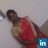 Apoorva k, profile picture