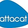 Attacat Internet Marketing, profile picture