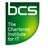 BCS-IT, profile picture