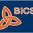 BICS , profile picture