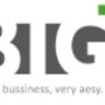 BIG business projects, profile picture