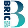 BRIC Arts|Media|Bklyn, profile picture