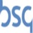 BSG (UK), profile picture