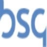 BSG (UK), profile picture