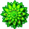 Baby Violets, profile picture