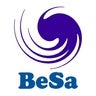 BeSa Consulting, profile picture