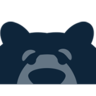 Bear Analytics, profile picture