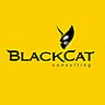 Blackcat Consulting, profile picture