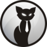 Black Cat, profile picture
