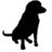 Black Dog and Leventhal Publishers, Inc., profile picture