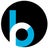 BloomReach, profile picture