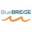 Blue BRIDGE, profile picture