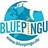 Bluepingu e.V., profile picture