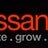 Bossanova - Digital Strategy New Zealand, profile picture