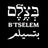 B'Tselem - The Israeli Information Center for Human Rights in the Occupied Territories בצלם - מרכז המידע הישראלי לזכויות האדם בשטחים, profile picture