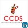 CCDS Agency, profile picture