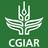 CGIAR, profile picture