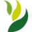 CIARD Movement, profile picture